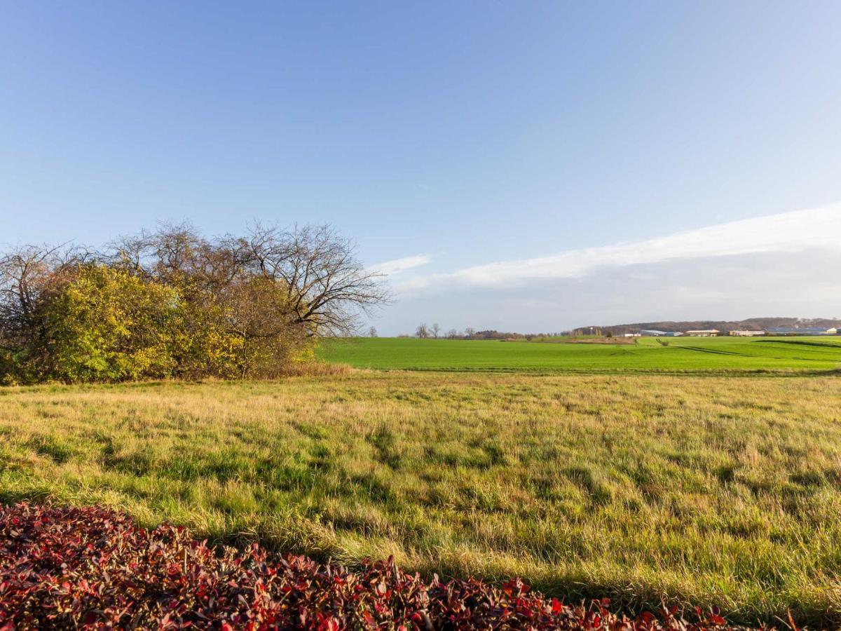 Ferienwohnungen Bergenblick Gademow Exteriör bild